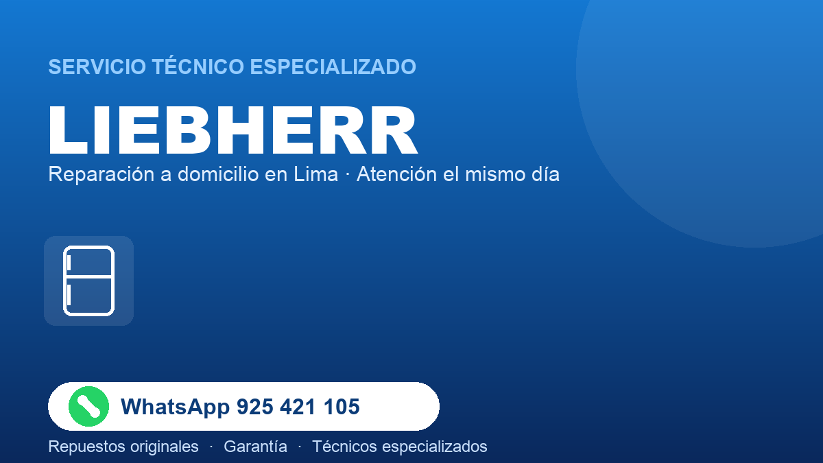 tecnico liebherr